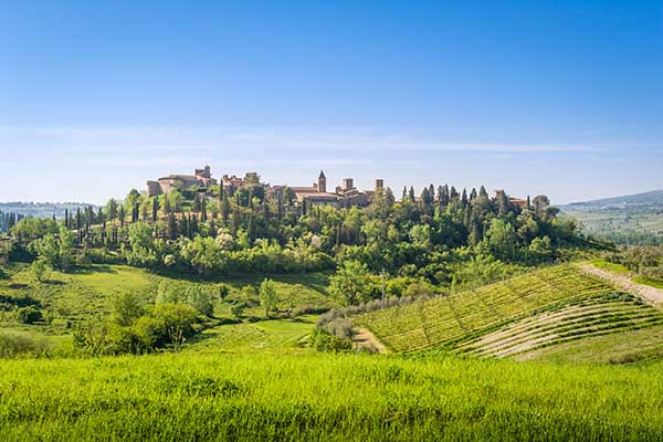 Florence day trips