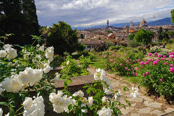 rose garden Florence