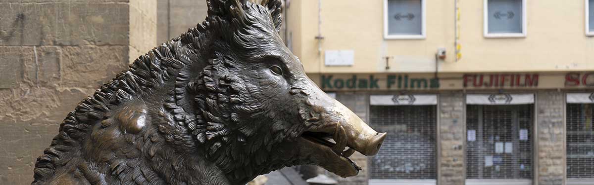 Fontana del Porcellino